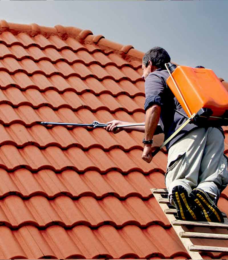 Nettoyage toiture - SCHEIT COUVERTURE 67 : artisan couvreur sur Strasbourg et dans tout le BAS-RHIN (67), la Seine-et-Marne (77) : nettoyage, démoussage, traitement anti-mousse toiture. Application d’un revêtement peinture hydrofuge coloré sur toit. Intervention sur Strasbourg et dans tout le BAS-RHIN (67)