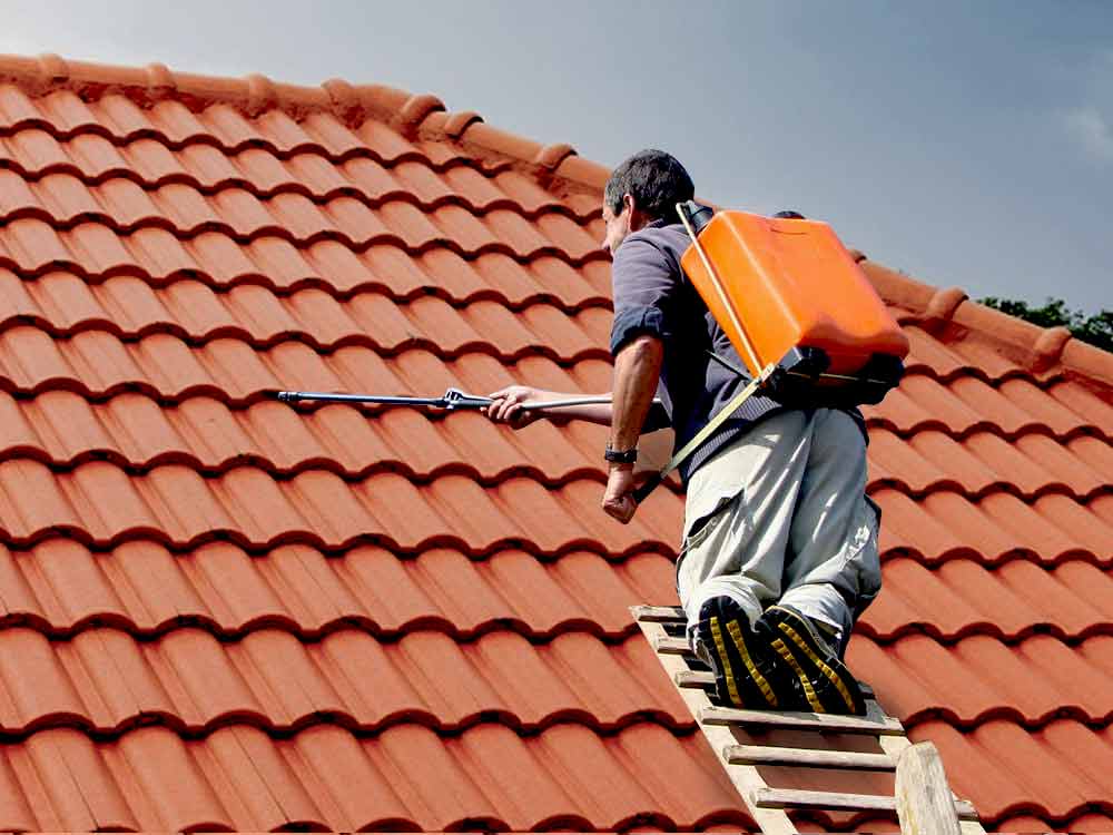 Nettoyage toiture - SCHEIT COUVERTURE 67 : artisan couvreur sur Strasbourg et dans tout le BAS-RHIN (67), la Seine-et-Marne (77) : nettoyage, démoussage, traitement anti-mousse toiture. Application d’un revêtement peinture hydrofuge coloré sur toit. Intervention sur Strasbourg et dans tout le BAS-RHIN (67)